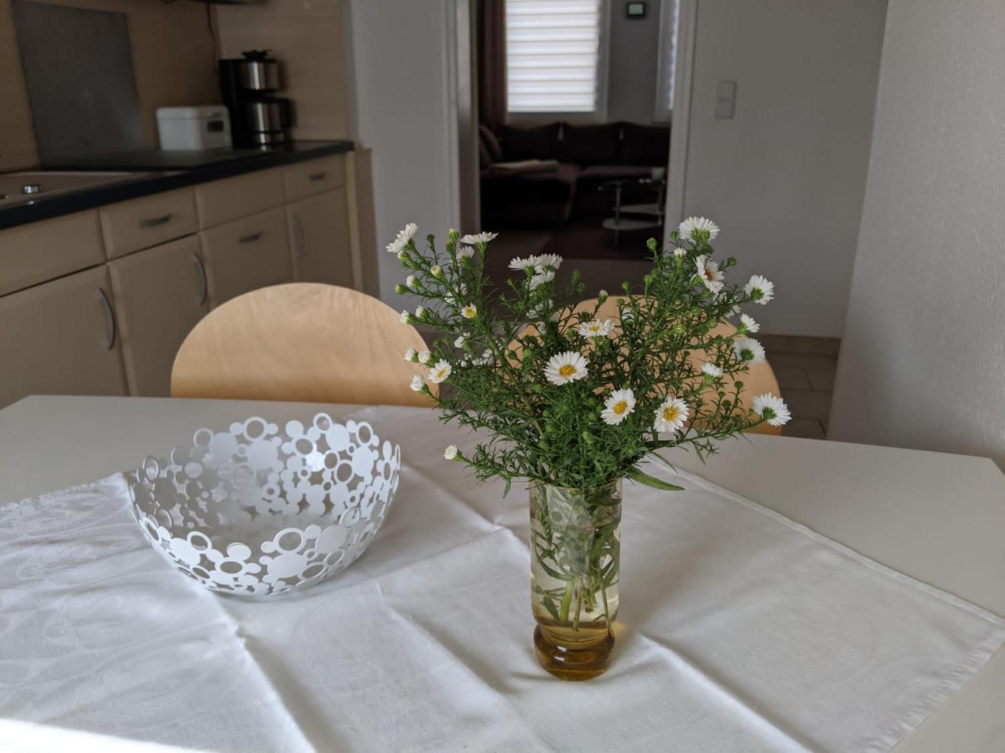 Ferienwohnung Am Ueckerpark Ueckermünde Dış mekan fotoğraf