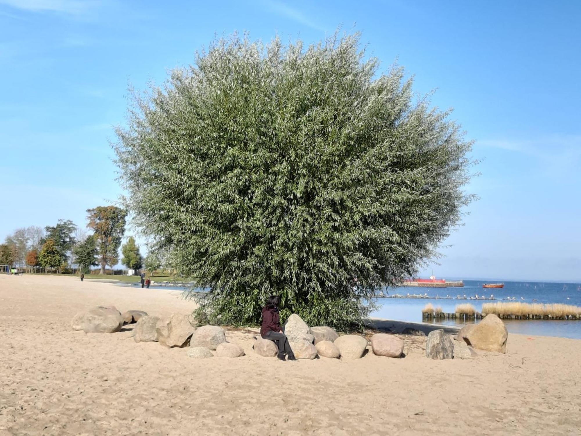 Ferienwohnung Am Ueckerpark Ueckermünde Dış mekan fotoğraf